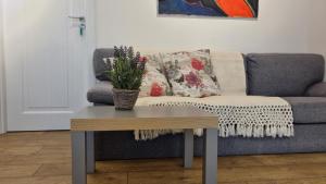 Old Town City Center Apartment