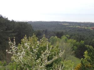 Maisons de vacances Gite « Les Oyats » a 400 m de la plage : photos des chambres