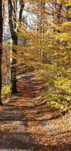 A&S Apartaments - RELAX