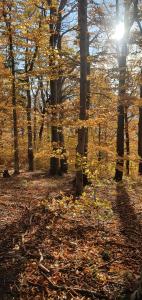 A&S Apartaments - RELAX