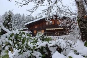 Chalets chalet artheis : photos des chambres