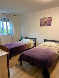 Studio apartman Bel-Ben 