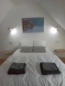 A 4 min du Zoo de Beauval La Maison à Partager Ch4 2ème étage - 圣艾尼昂