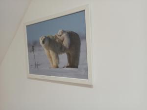 A 4 min du Zoo de Beauval Chambre Cosy 2 personnes sous les combles 2ème étage