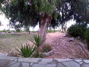Agrelia House