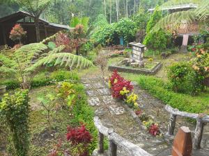 Ijen Miner Family Homestay