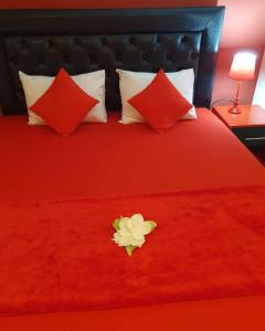 Apartmani Vesna Luxury ap 5 & 6 Paralia