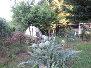 B&B / Chambres d'hotes Chez Papy et Mamy : photos des chambres