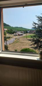 Appartements GITE DANS VIGNOBLE ALSACIEN : photos des chambres