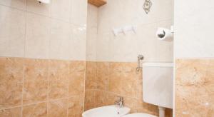 Mezzanine Apartment, Zagreb center