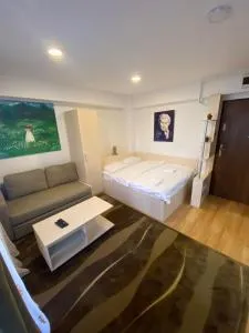 Sinaia Chic MiniSuite Mirage-Self Check-in&Free Parking - 布什泰尼