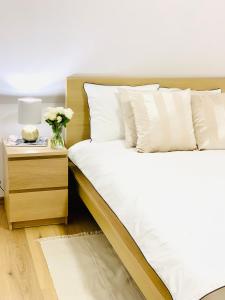 Apartament w samym sercu miasta z DARMOWYM PARKINGIEM Pod Złotym Lwem -hotel VI