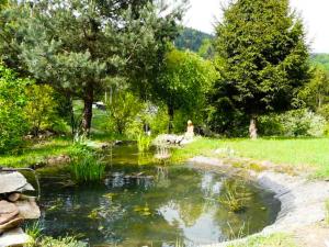 Maisons d'hotes Domaine Saint Michel D'Alsace Centre Zen Universel a therapies de bien-etre : photos des chambres