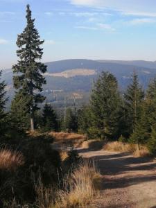 Cihlářská bouda, apartmán 307