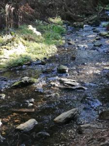 Cihlářská bouda, apartmán 307