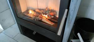 Chalets Chalet l'Alpe : photos des chambres