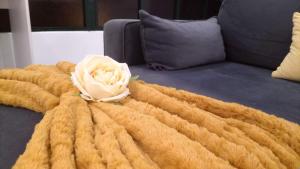 Panoramic View Apartment