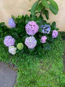 Casa 5 min Praia da Enseada Guarujá