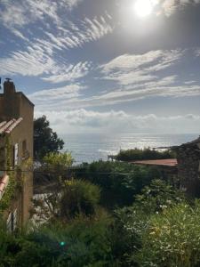 Maisons de vacances Maison Bravone Corse : photos des chambres