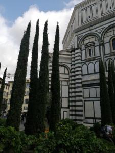 Family and Friends Studio Florence