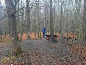 Zo. Low Budget House