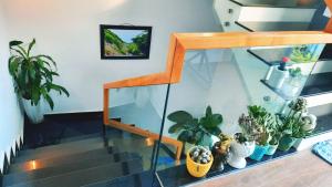 Sena home 4th-Rooftop Overlooking Danang Dragon bridge