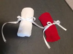 Apartman Sweet penthouse self check-in - Netretić