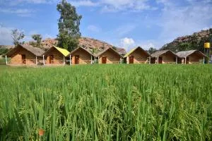 Dream Mango Hampi - Hampi