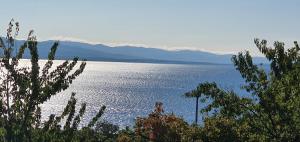 Villa Opic, ganze Villa, privater Pool, Meerblick, 4-8 Personen, 3 oder 5 Schlafzimmer