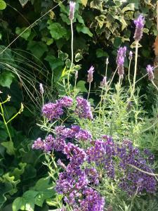 Mountain View Eco Lodge Montagu