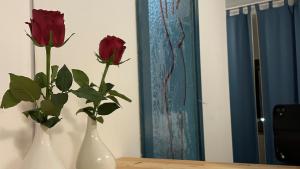 MADONCA ROOMS & RESTAURANT