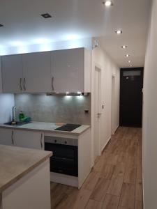 Family comfortable apartment