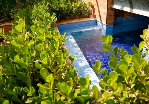 Olimpia Park Resort - Em frente à portaria do Thermas dos Laranjais