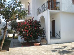 Karagiozos Studios & Apartments Skopelos Greece