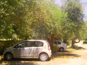 Areti & Maria Apartments Lakonia Greece