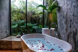 Twilight Forest - Gongliao