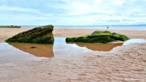 Sea Breeze, gorgeous 2 bed apartment in Exmouth