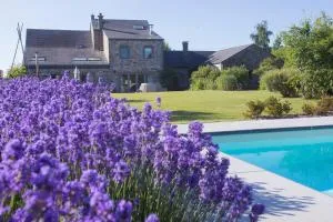 Le Champ Du Coq - La Pologne