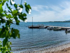 Apartman Goga 