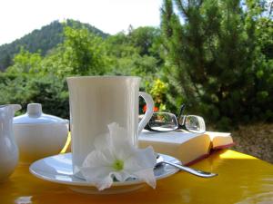 Ferienwohnungen Sauerschnig