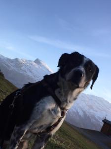 Hotel Engelberg "mein Trail Hotel"