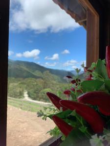 Meu Cantinho Serrano