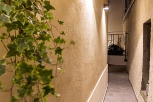 Civiconove Affittacamere