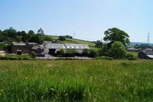 Lower Curscombe Barn - Beautiful 400-year-old threshing barn. Pet-friendly. - Talaton