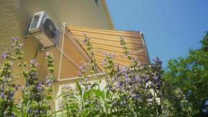 Apartment Porec (228-1)