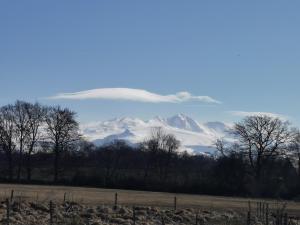 Campings Auvergne chalets Sancy : photos des chambres