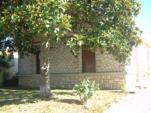 Maisons de vacances les hortensias : photos des chambres