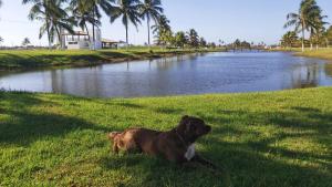 Apart Resort Vila das Águas Veraneio