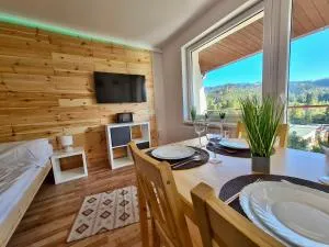 Apartamenty Willa NaSkarpie Jacuzzi Sauna Basen - Malinka