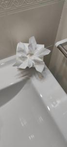 Bungalow Carpe Diem wifi